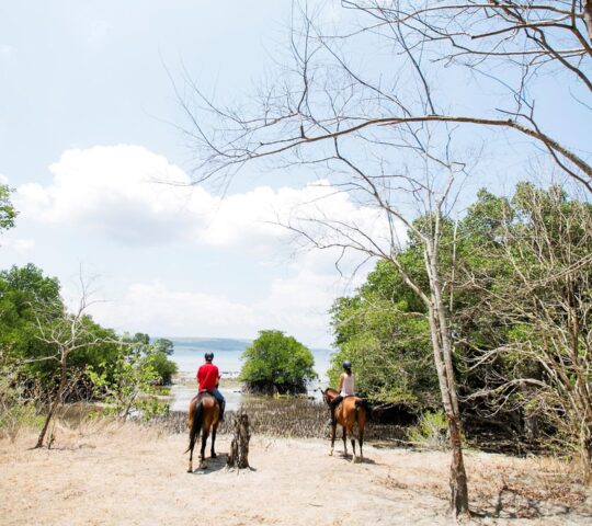 Explore West Bali National Park