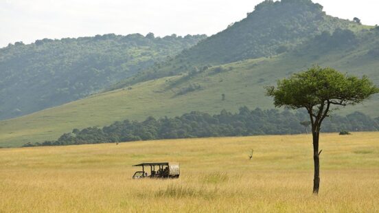 A safari vehicle drives through a tall grass field in a savanna landscape with a lone tree and hills.