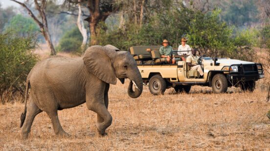 Game drive, Luangwa Bush Camping, South Luangwa National Park, Zambia