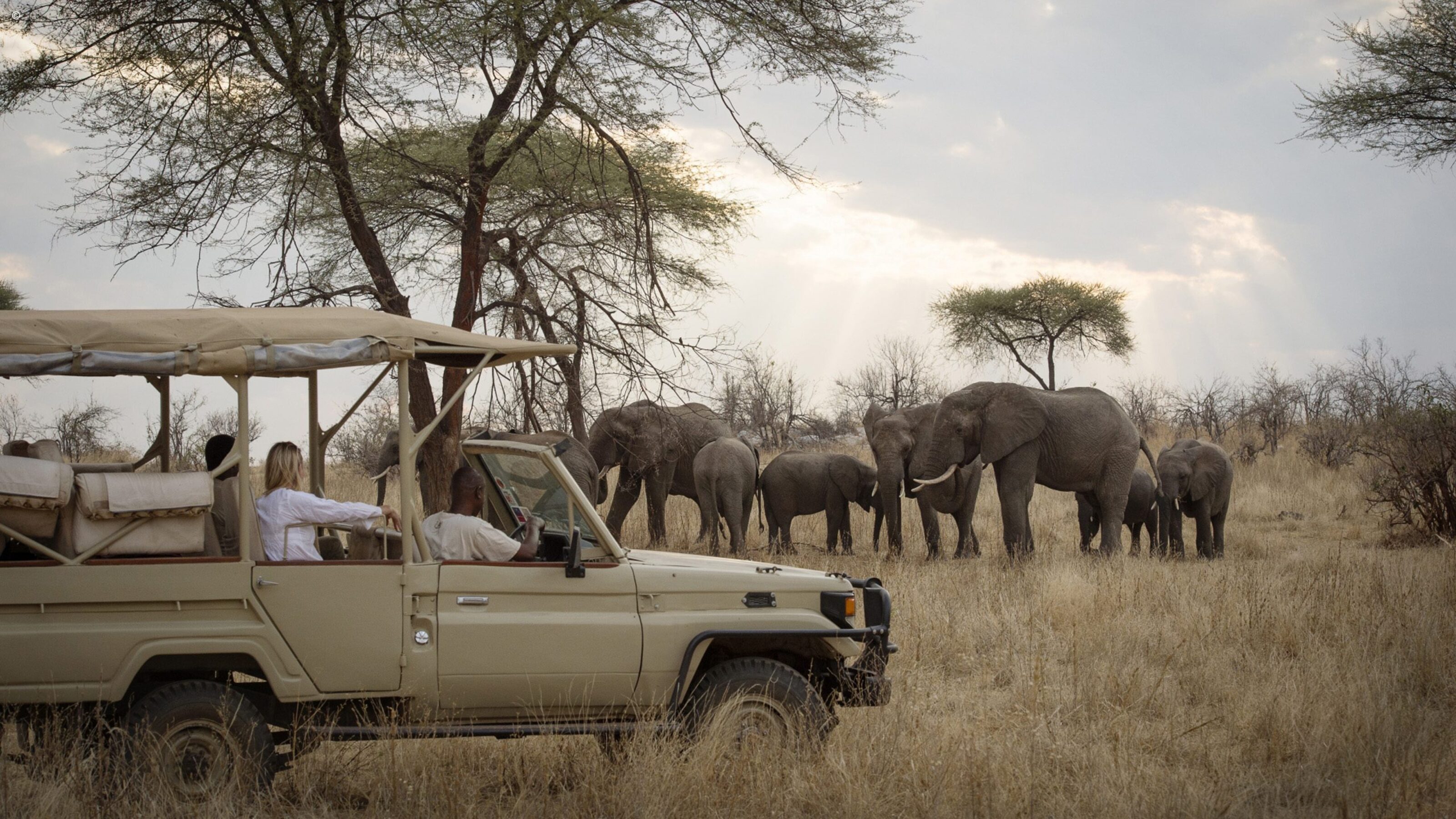 Classic Tanzania Migration Safari