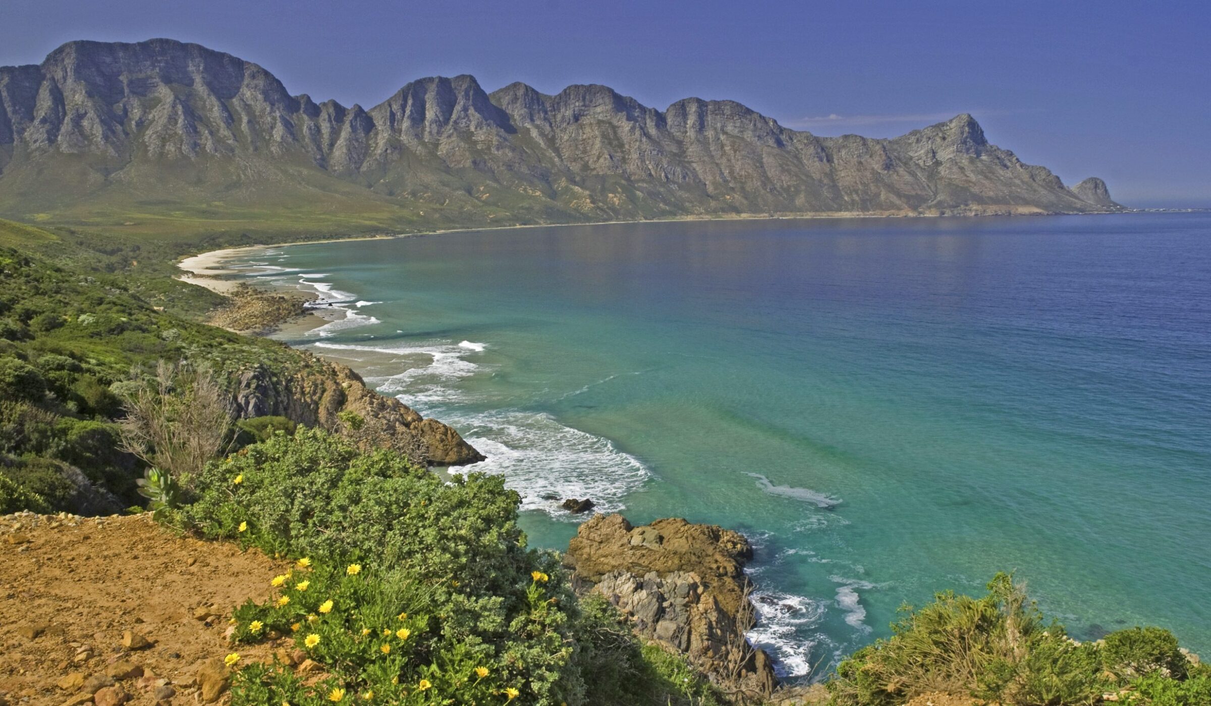 Panoramic view of the verdant cliffs of the Whale Coast, South Africa, dropping into the calm ocean