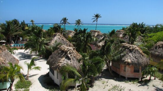 Group of small thatched-roof cottages surrounded by palm trees on a white sand beach near the ocean.