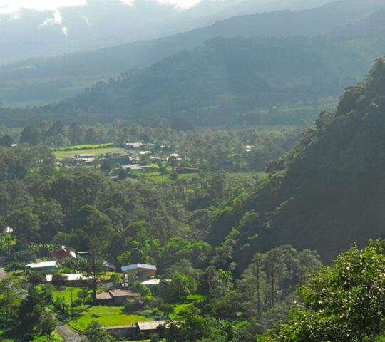 Visit rural towns