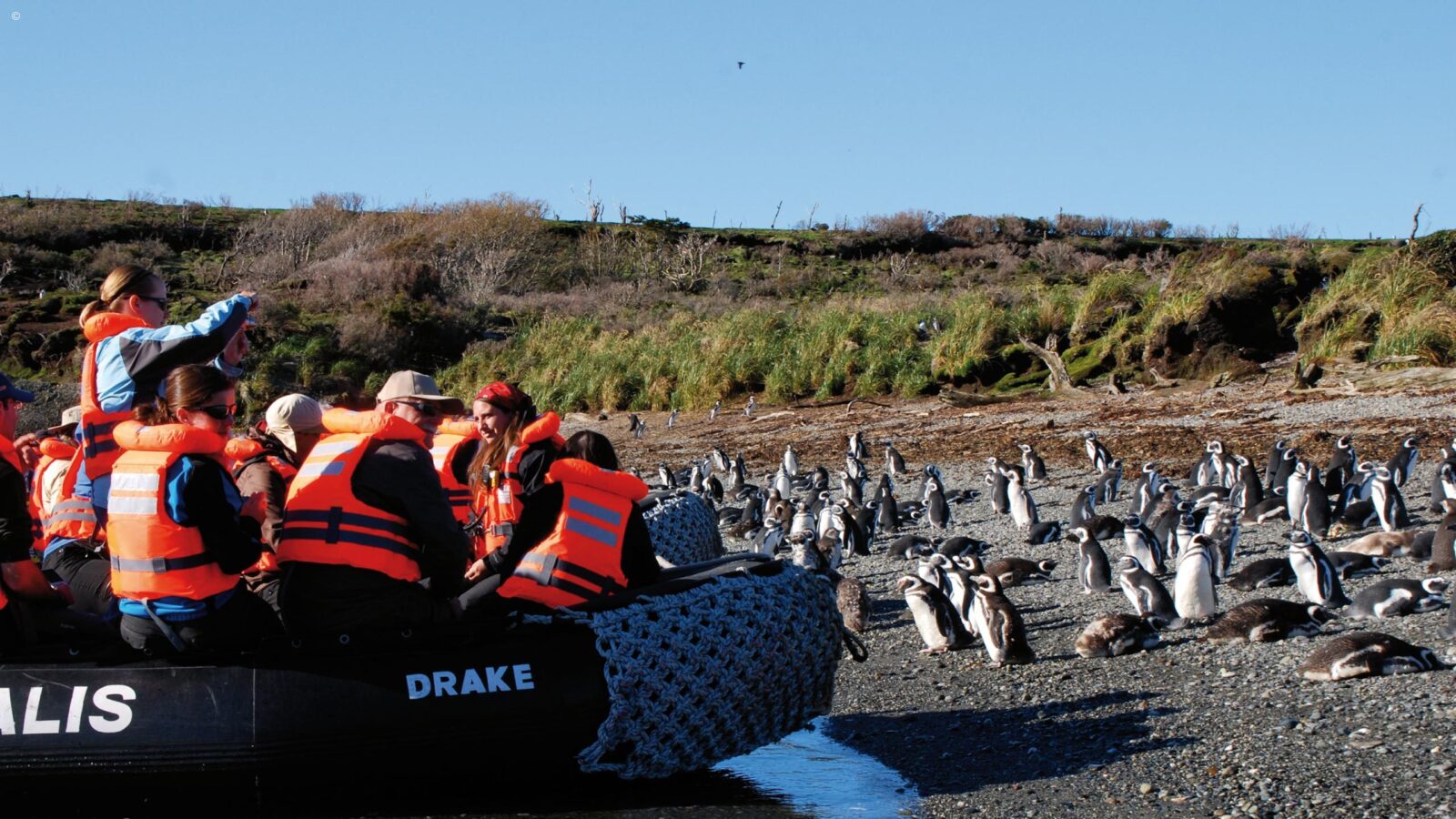 Zodiac landing near penguins on a Patagonian beach