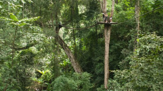 flight-of-the-gibbon-thailand