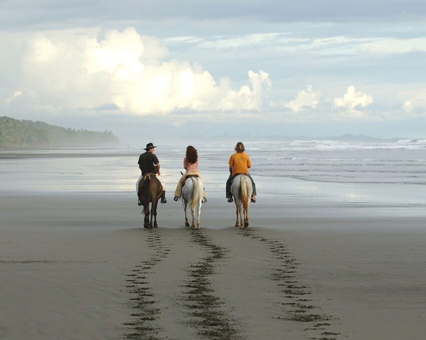 Horse riding with an expert guide