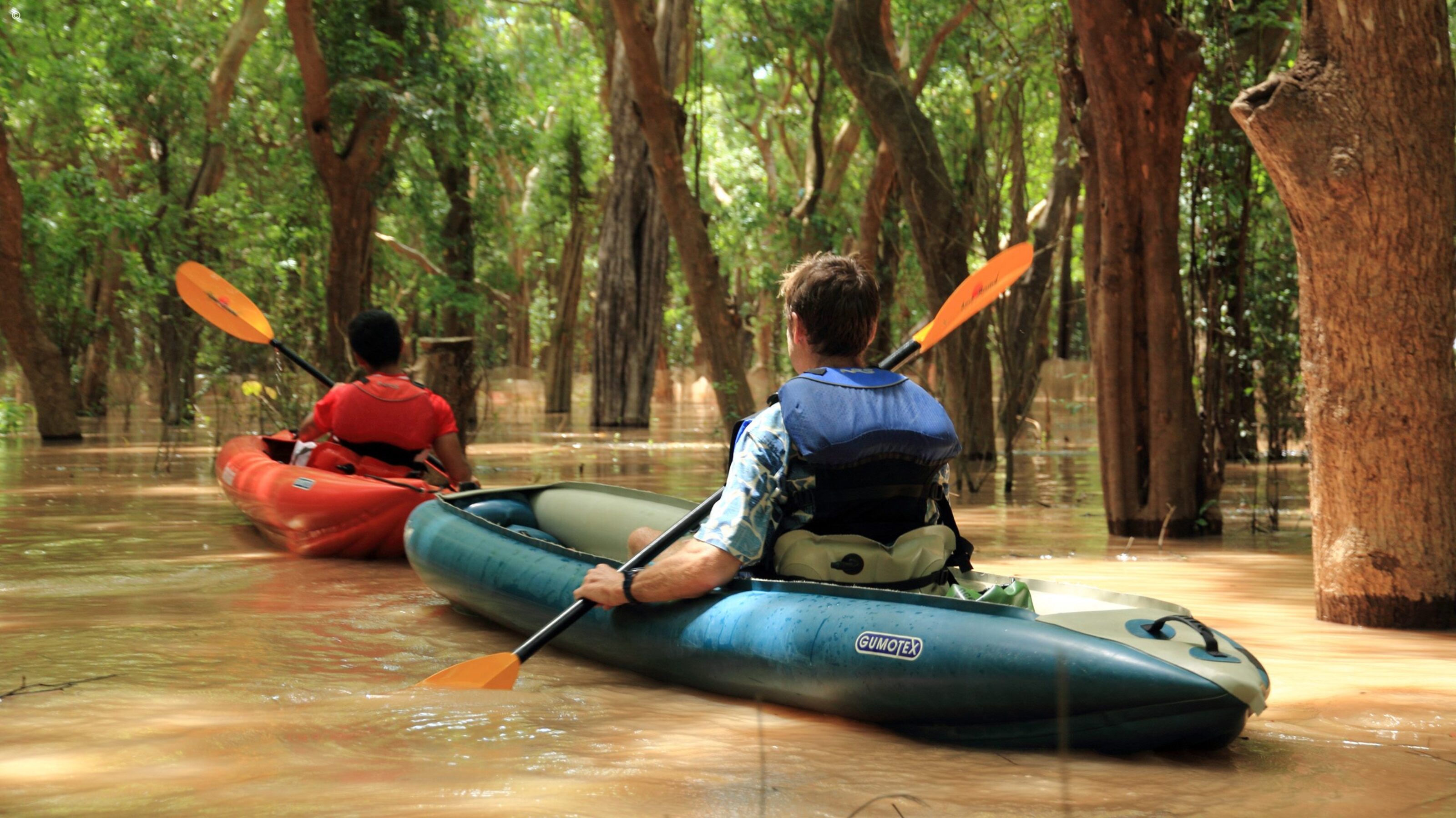Angkor Wat, Elephants and Phuket for the Family