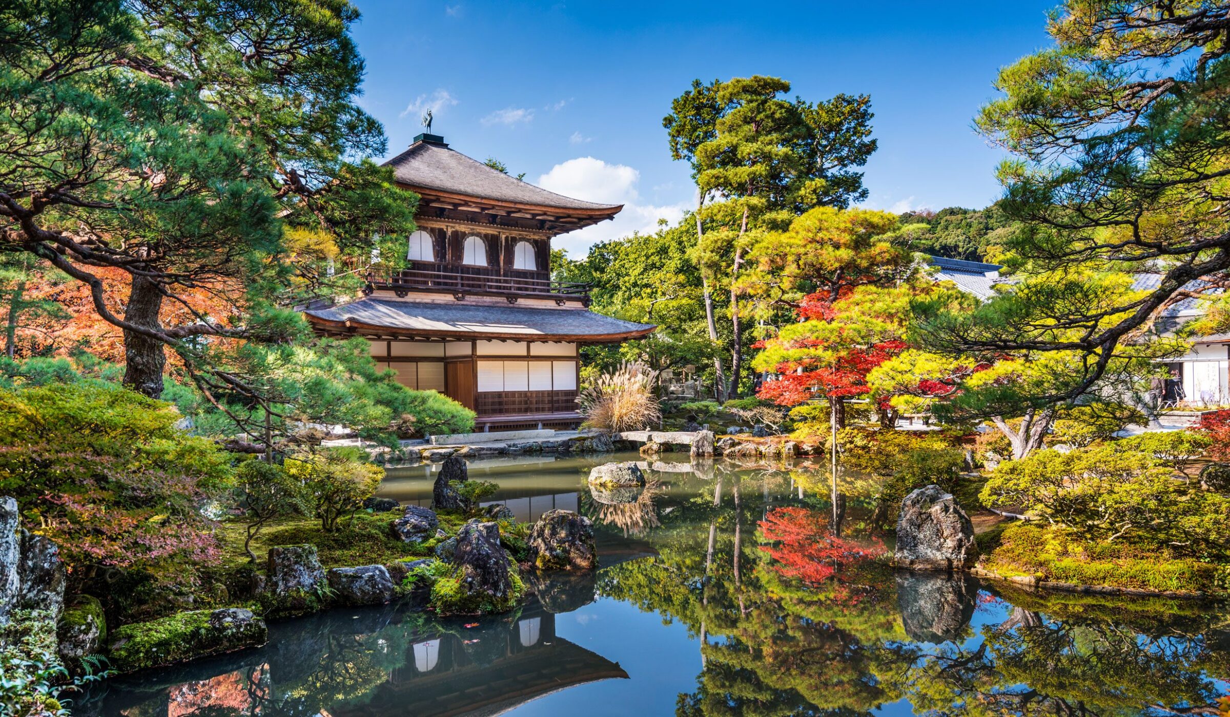 Cycle and walk between temples and shrines in Kyoto