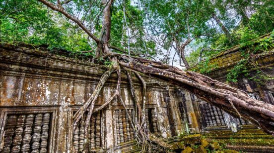 beng-mealea-siem-reap-cambodia