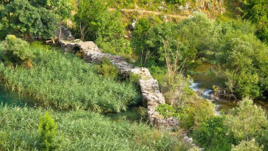 A weathered stone bridge with a small arch crosses a clear stream amidst tall grass and thick green trees.