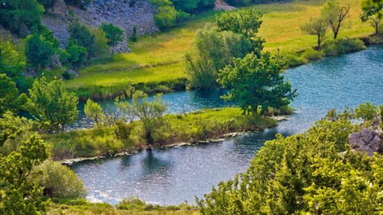 A close-up view of a blue river split by a small grassy island with trees and lush greenery.