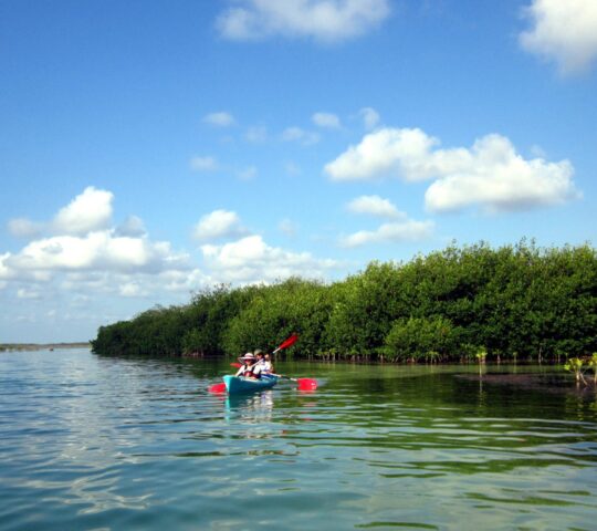 Celestún Biosphere Reserve