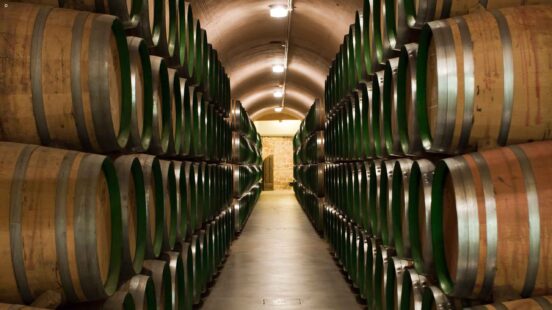 winery-argentina