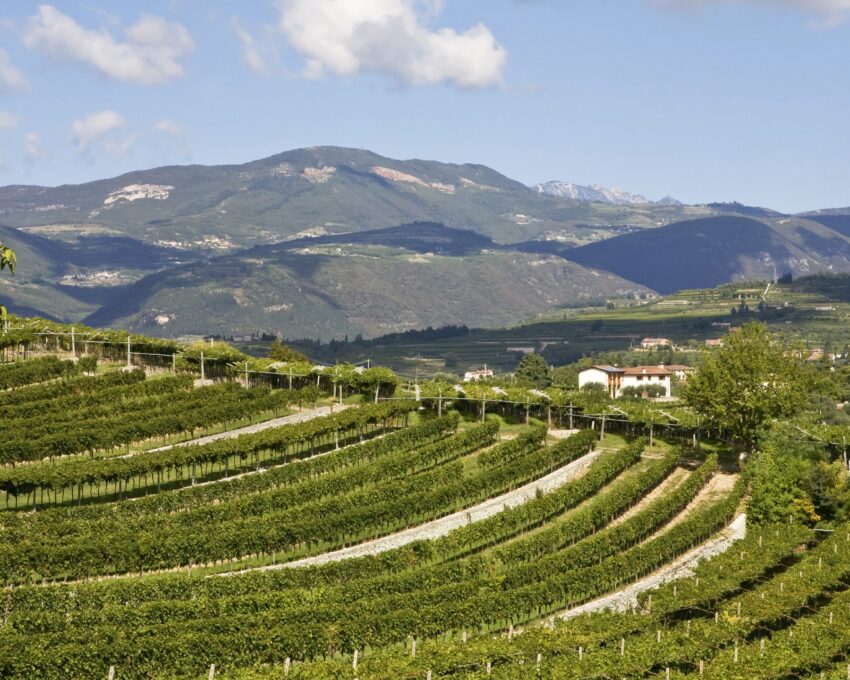 A pause in Valpolicella