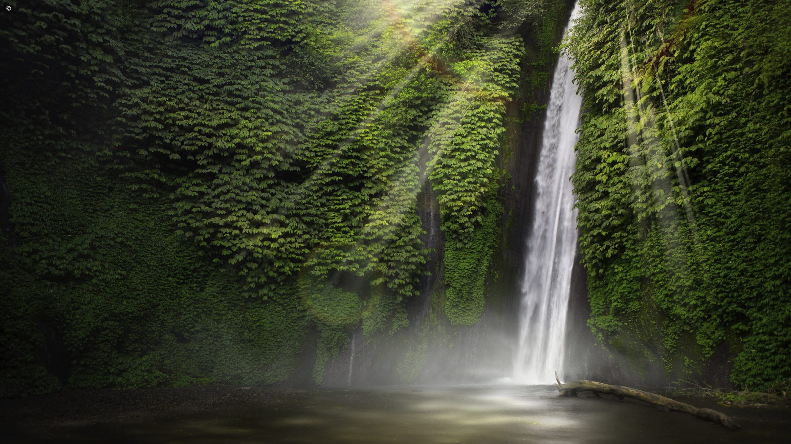 Off the Beaten Track: Bali’s Hidden Highlights