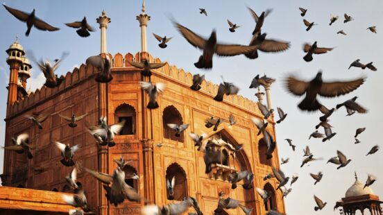 red-fort-delhi-india