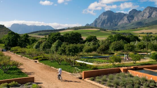 Gardens and vineyards at Babylonstoren.