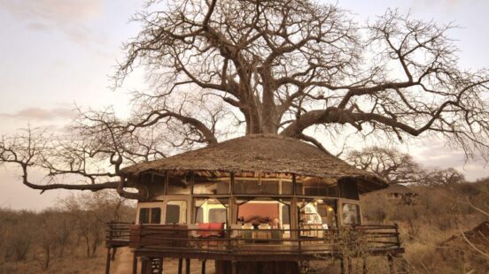 Tarangire Treetops exterior view, Tarangire National Park, Tanzania