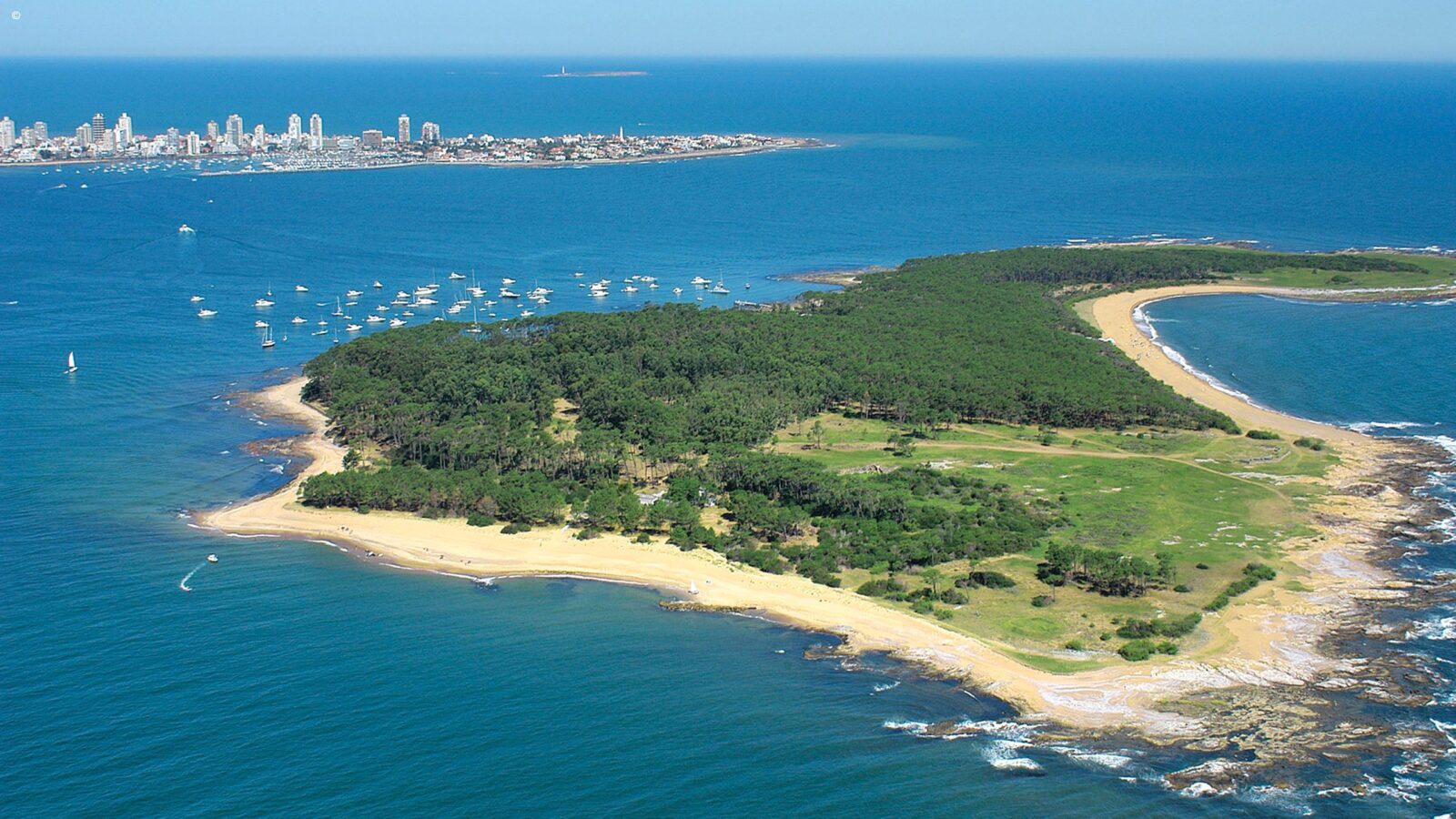 High-angle shot of a green island in blue water with many white boats and a city skyline in the far distance.
