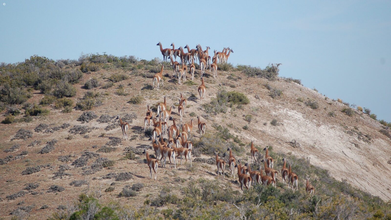 Bahia Bustamante landscape, Argentina
