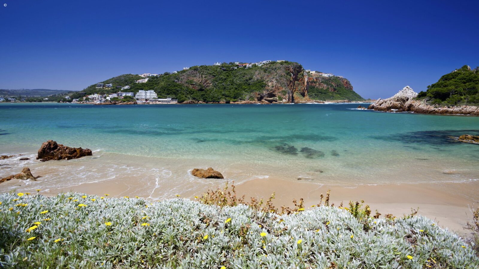 Pristine sandy beach and turquoise ocean water seen on luxury garden route vacations.