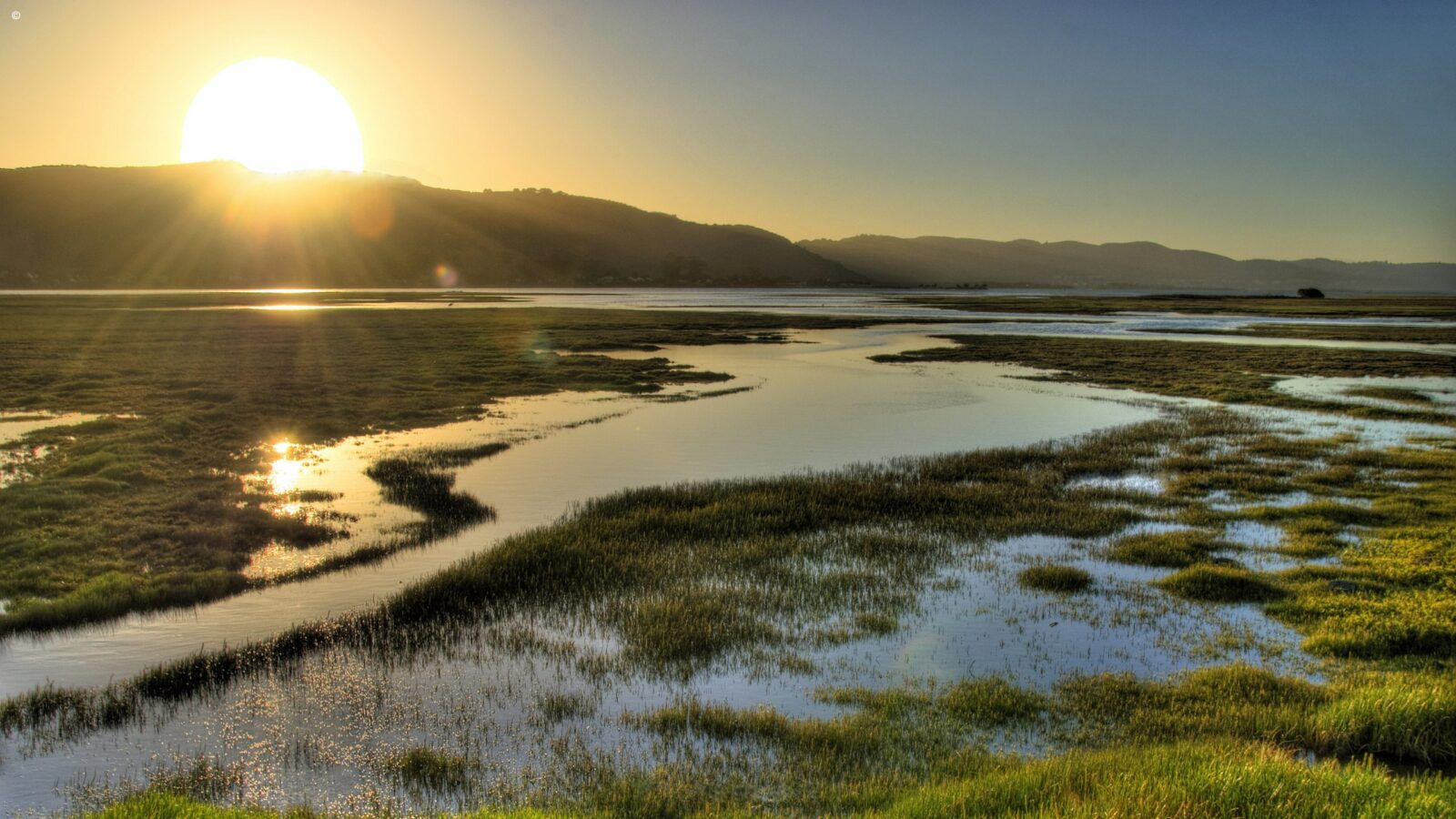 Bright sun rising over a peaceful grassy wetland, captured during luxury garden route holidays.