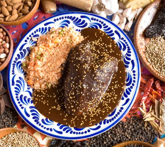 Taste mole poblano