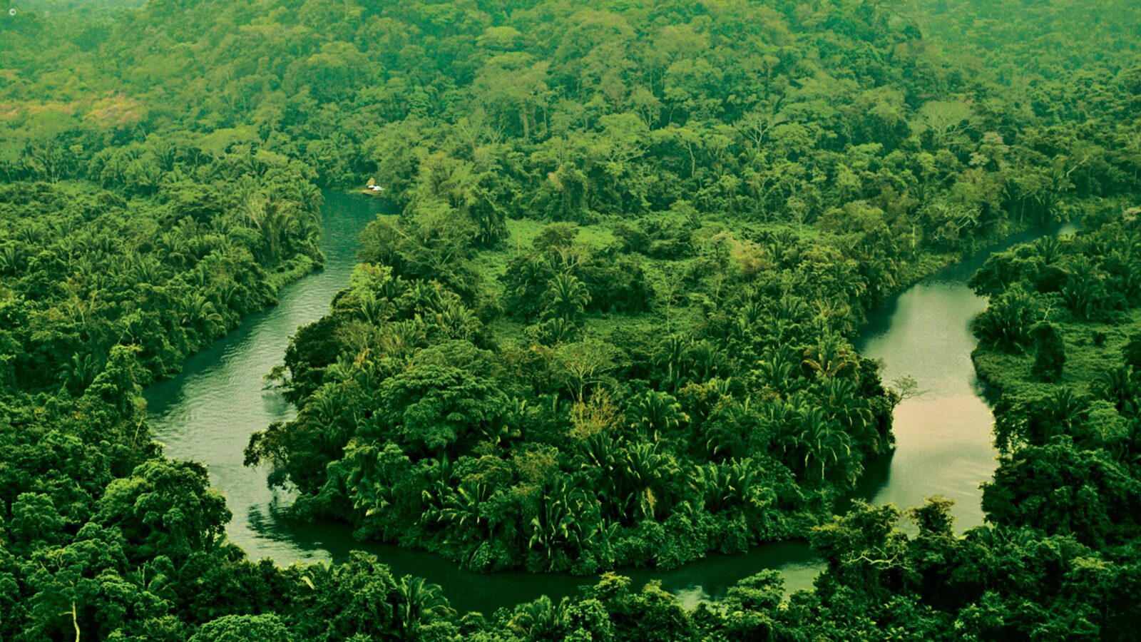 Aerial view of a winding river in a dense jungle during luxury Belize trips.