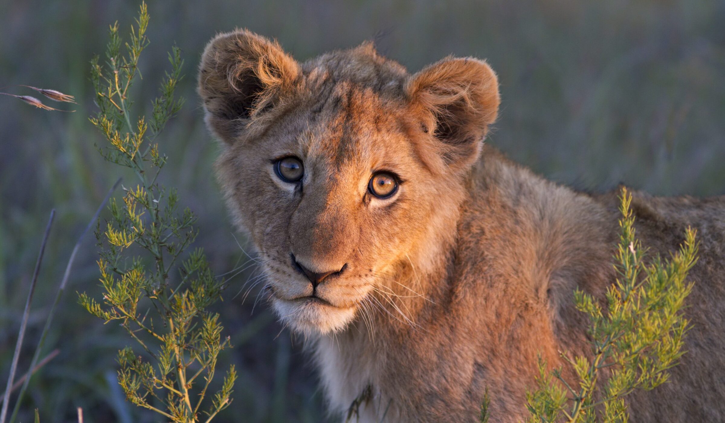 Family trips in South Africa