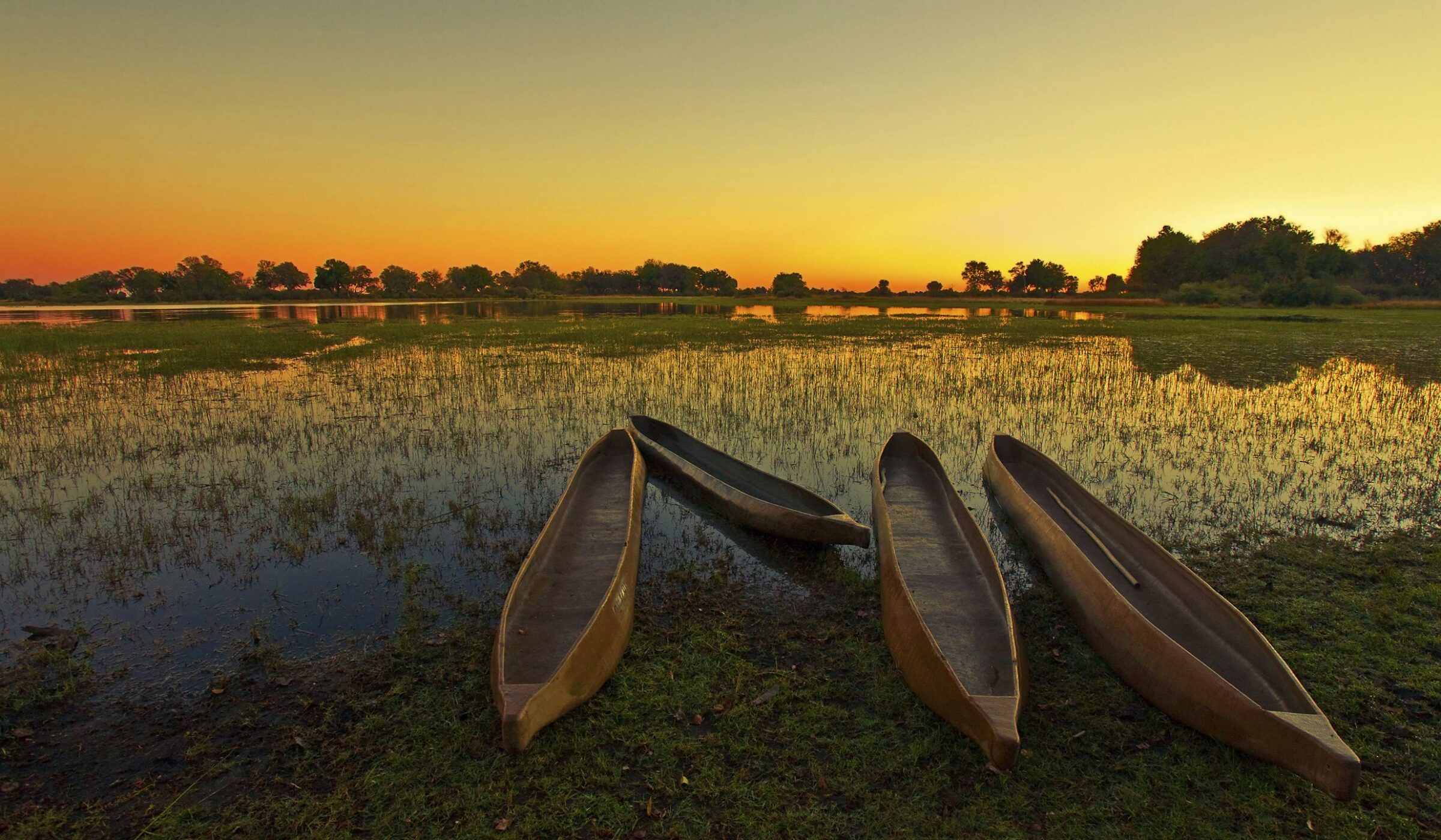 Honeymoons in Botswana