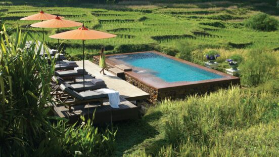 rice-fields-four-seasons-chiang-mai-thailand