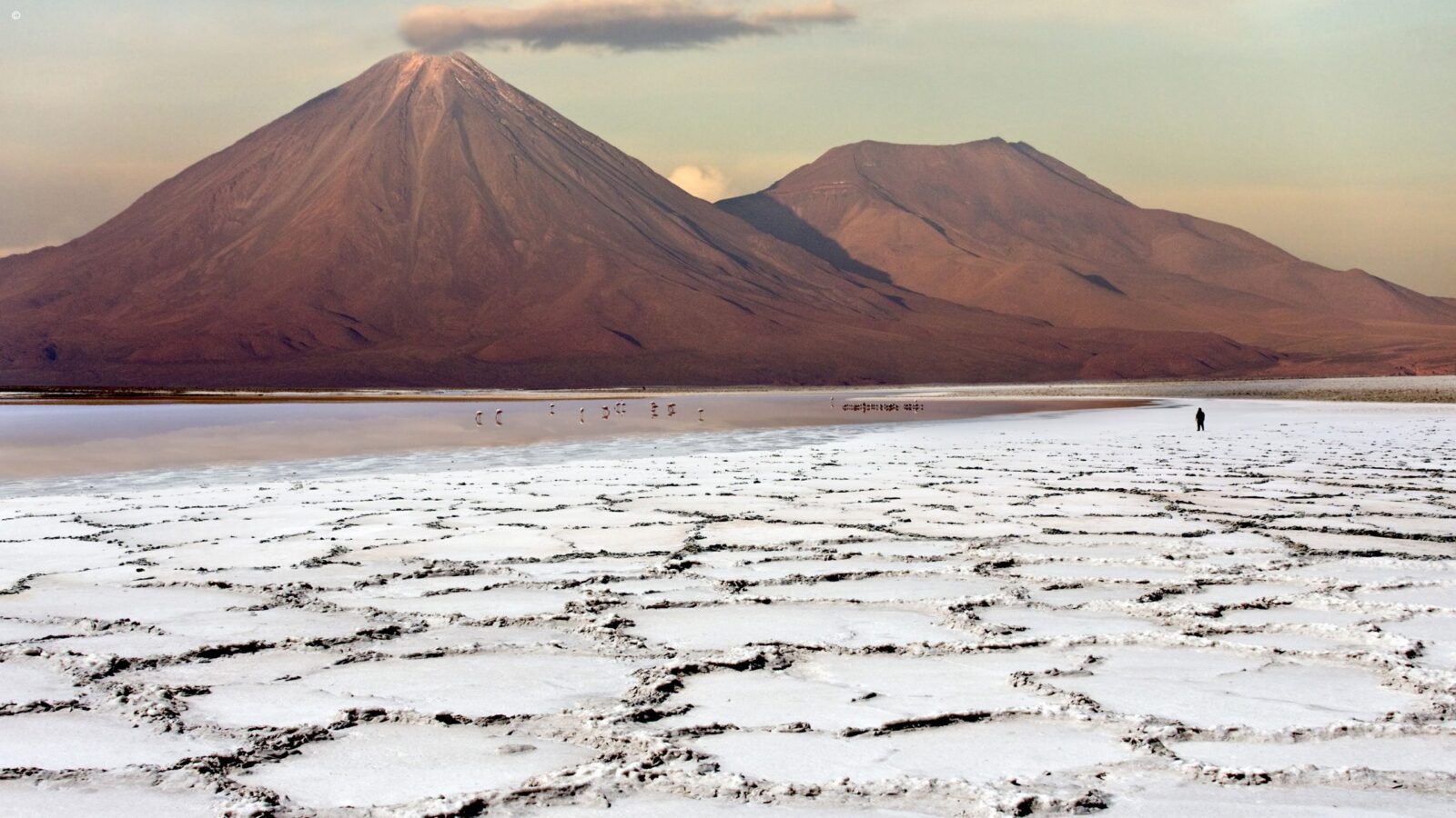 Cracked white salt flats in the foreground with a volcano and pink birds on luxury Latin America grand tour holidays.