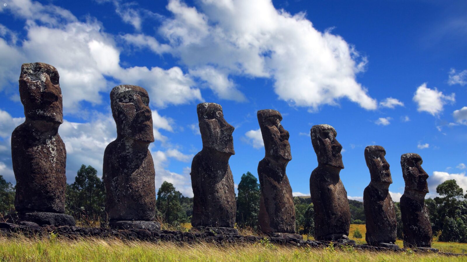 Tall stone Moai statues lined up in a grassy field on luxury Latin America grand tour holidays.
