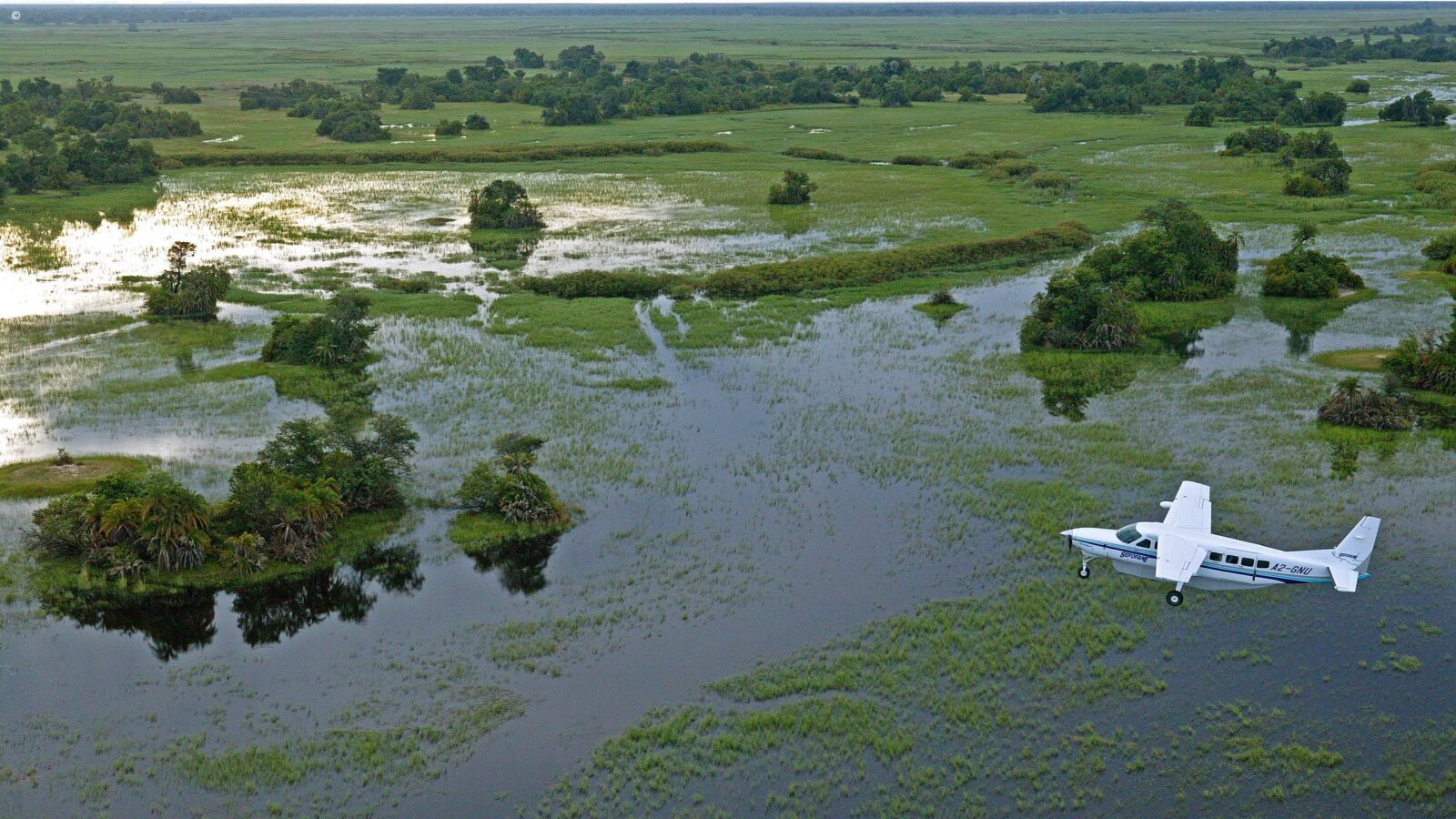 Small white plane flying over the lush, flooded Okavango Delta during a luxury honeymoon grand tour Africa.