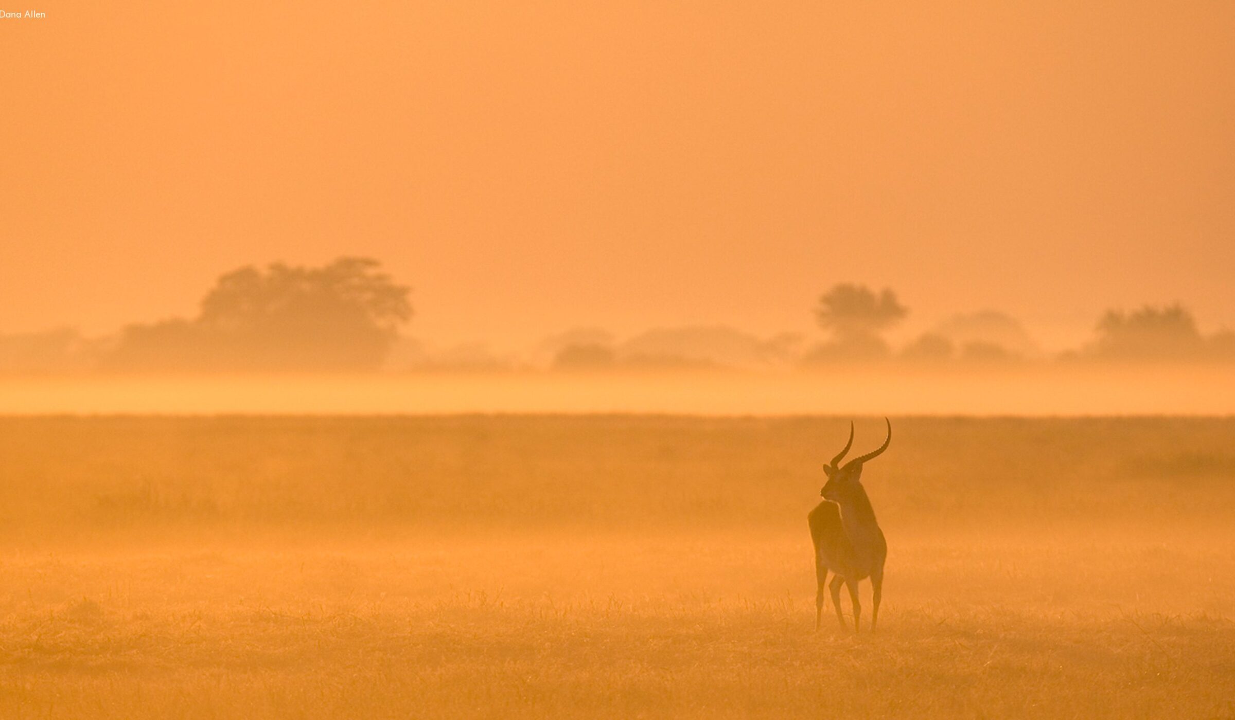 Kafue National Park
