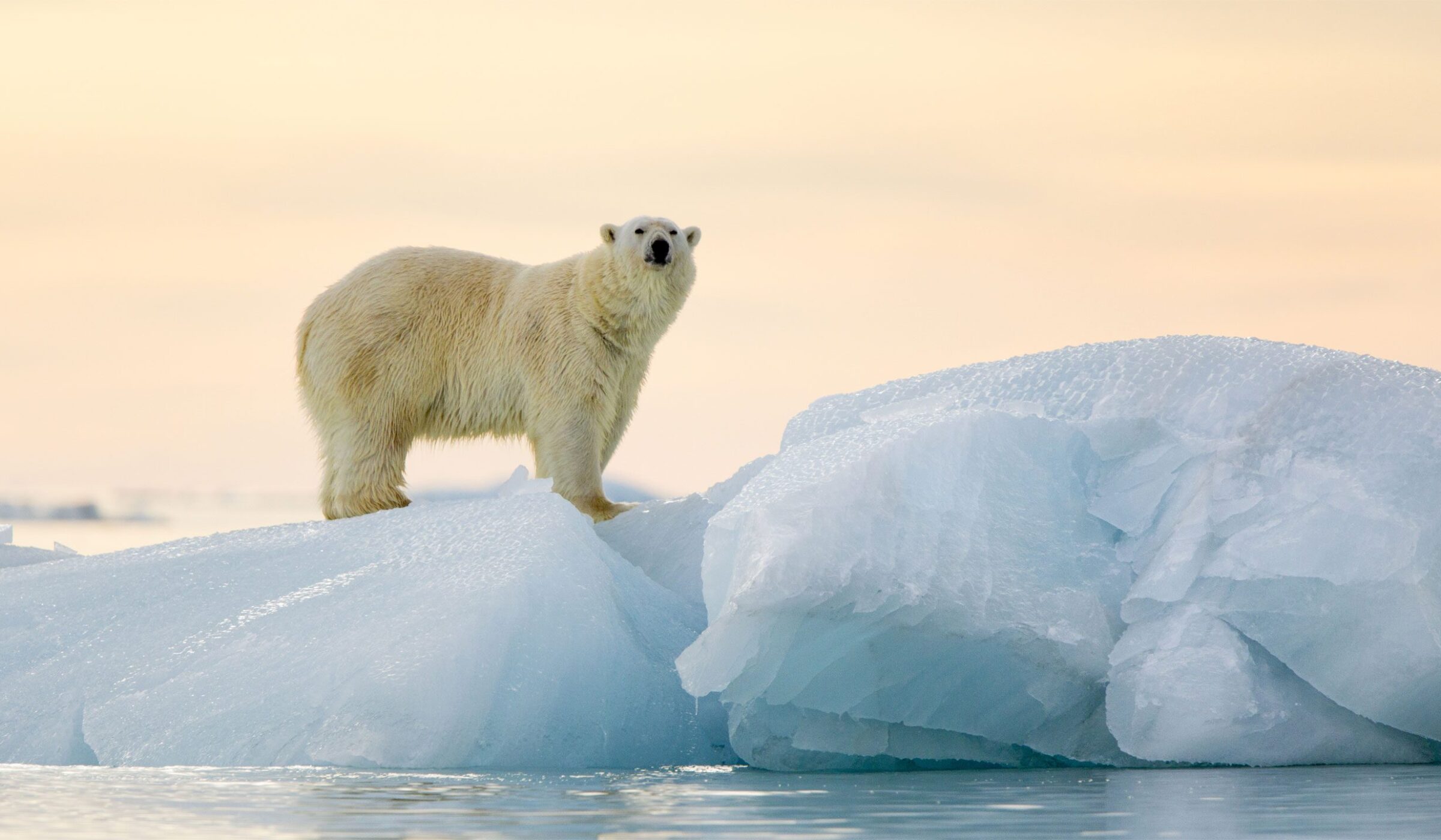 Svalbard