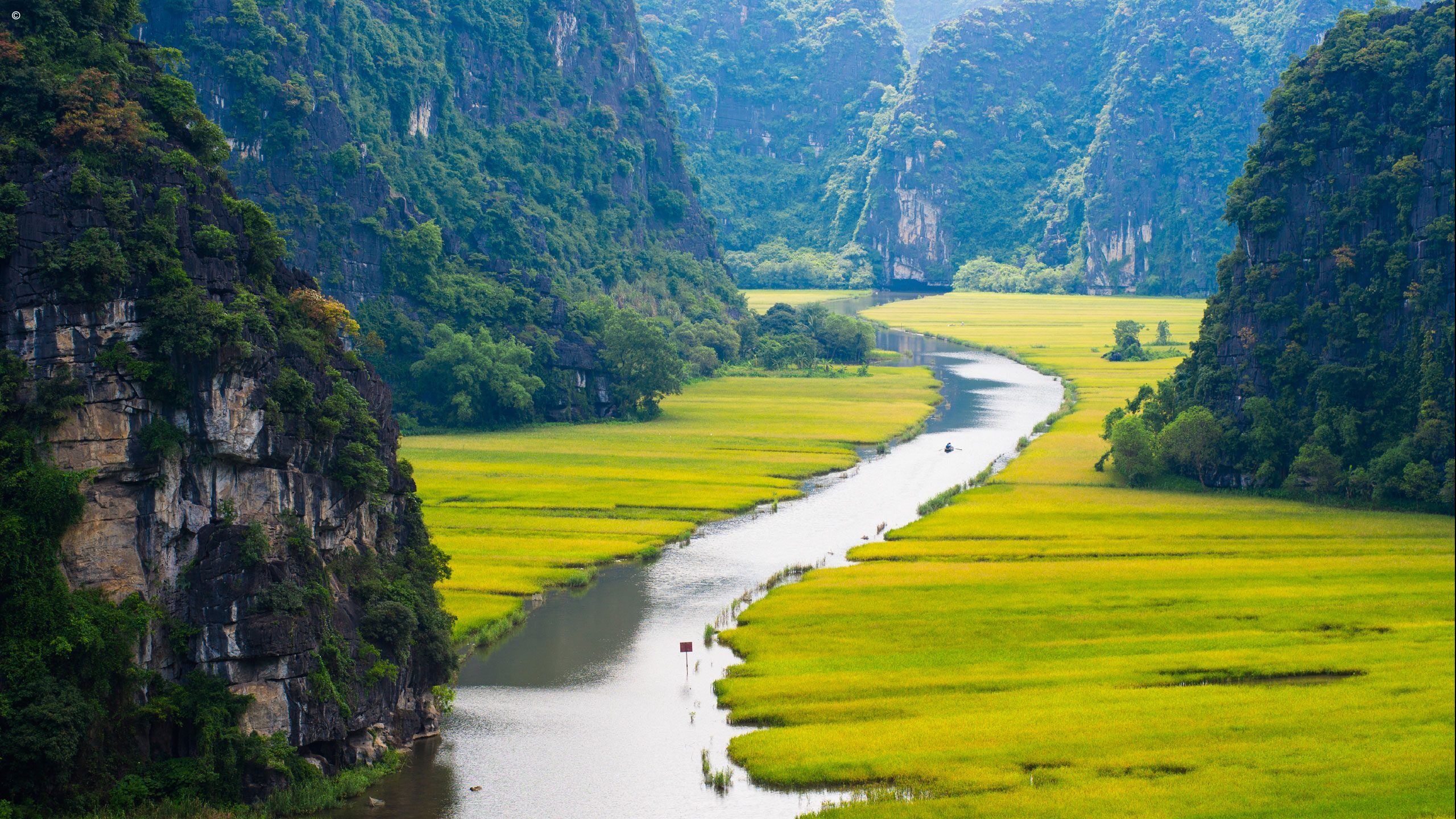location__Yellow_0-3840x2160-