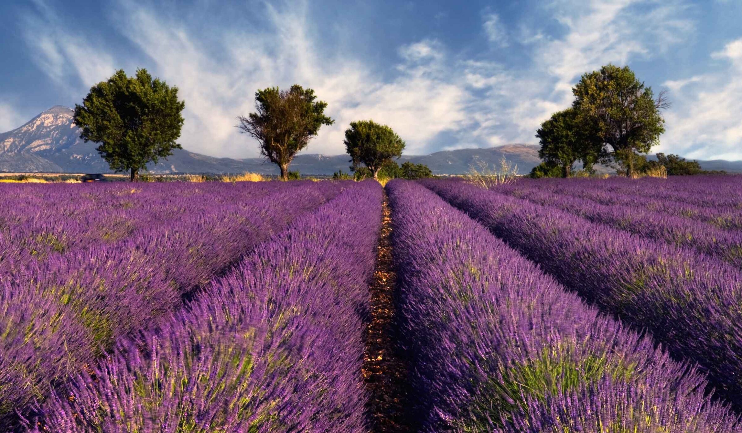 Provence
