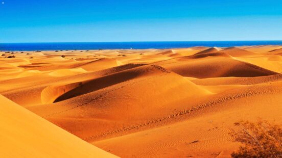 A wide landscape of rolling orange sand dunes leading to a blue sea under a clear sky.