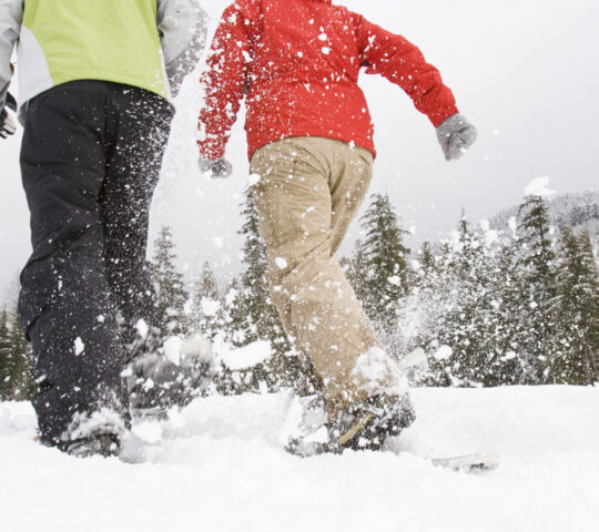 Head out for some snowshoeing