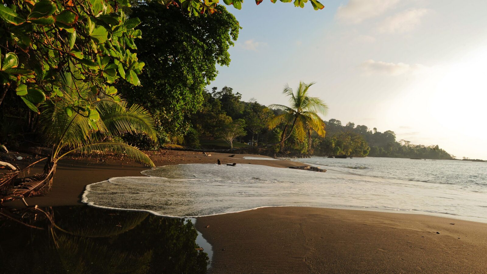 A golden sunset over a tropical beach with palm trees on luxury Latin America honeymoon holidays.