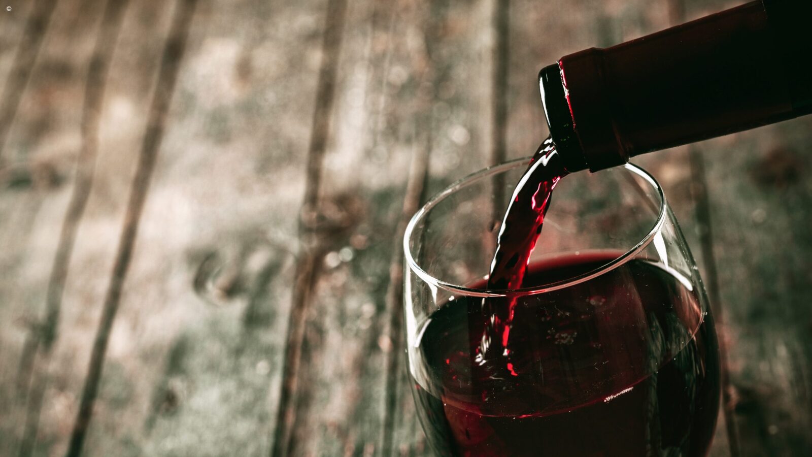 Red wine tasting Chile