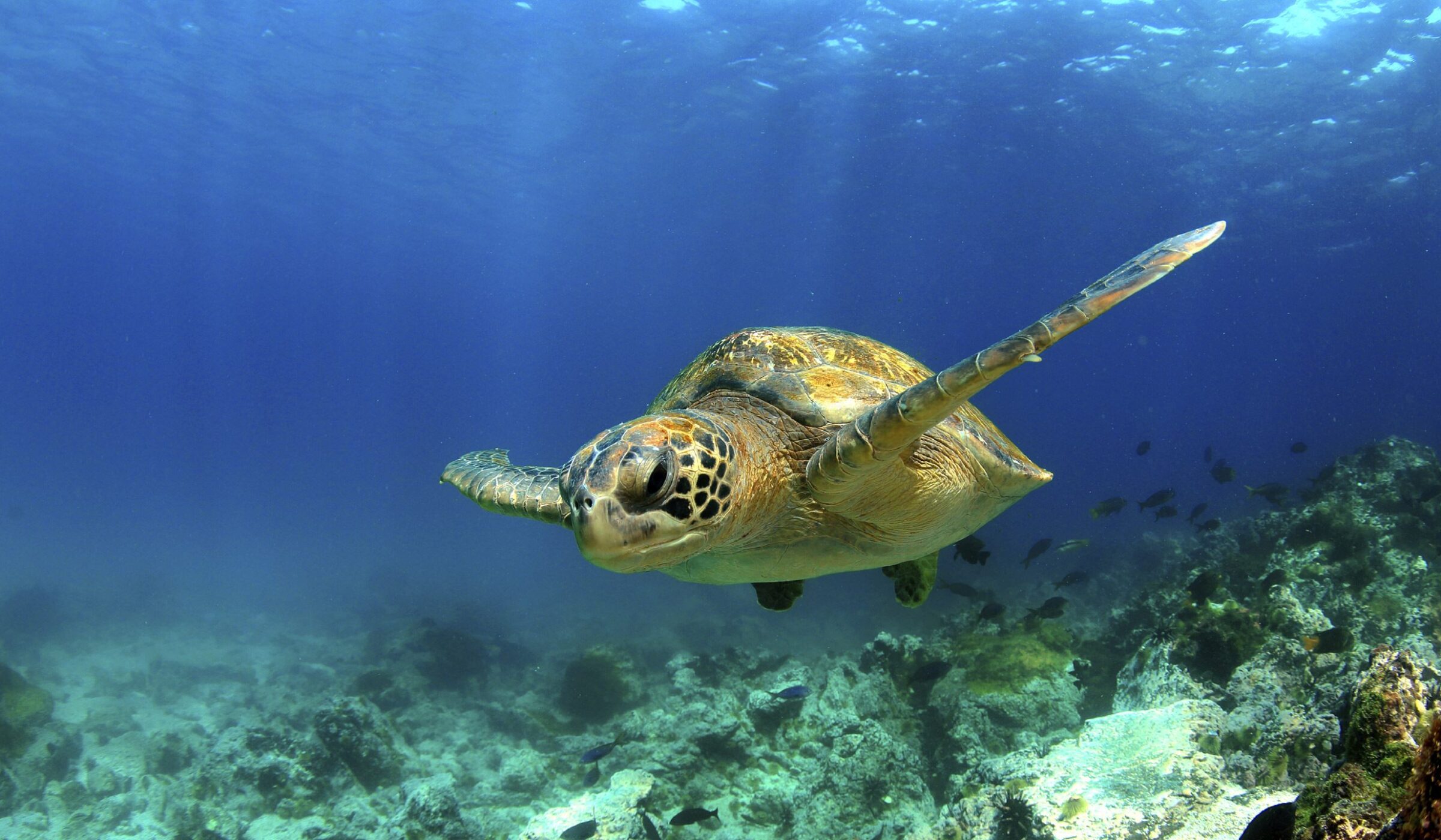 Family trips in Belize