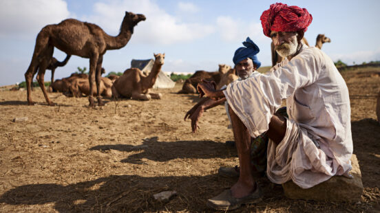 pushkar-camel-fair