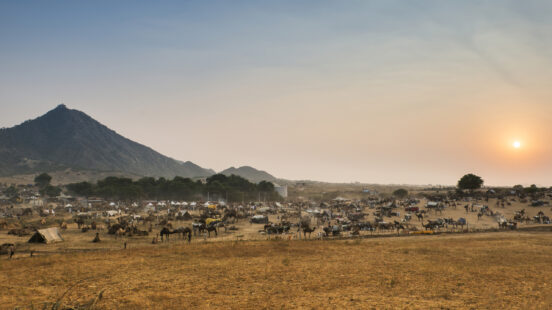 pushkar-camel-fair-rajasthan-india