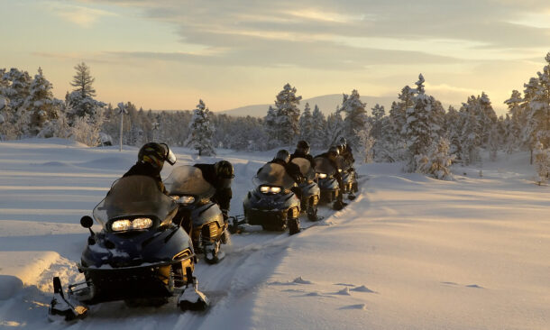 A group of people riding snowmobiles in a line across a snowy field at dusk with pine trees in the background.
