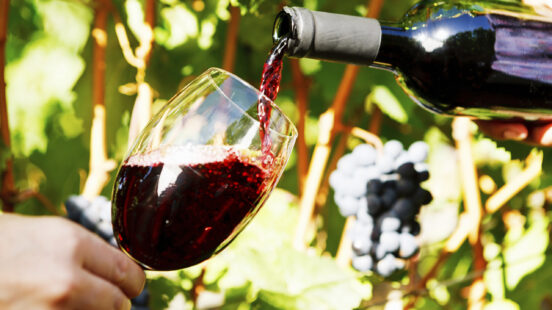 Close-up of red wine being poured into a glass in a sunny vineyard.