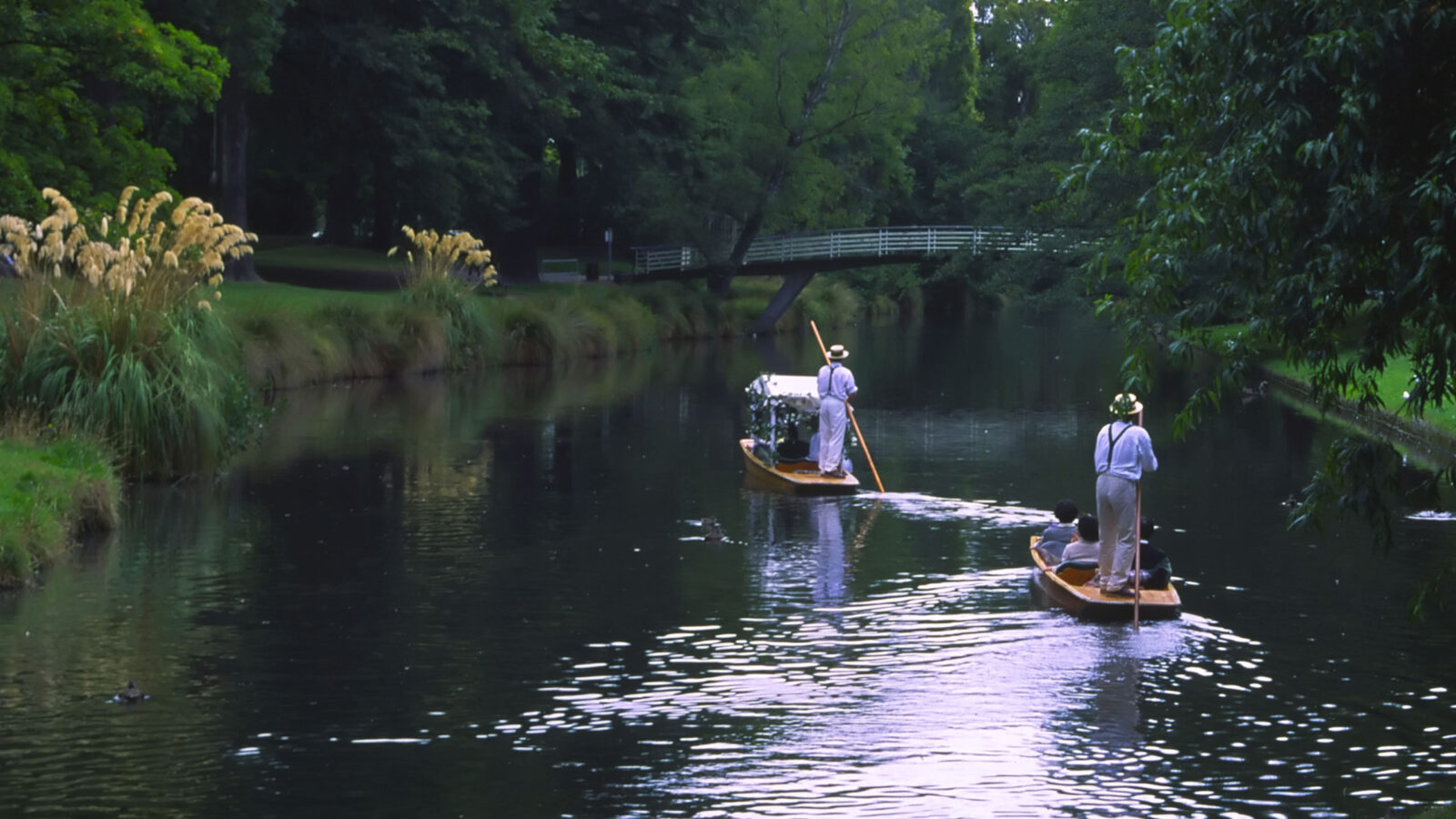 "Wedding Party in boats in Christchurch Botanical Gardens, New Zealand"