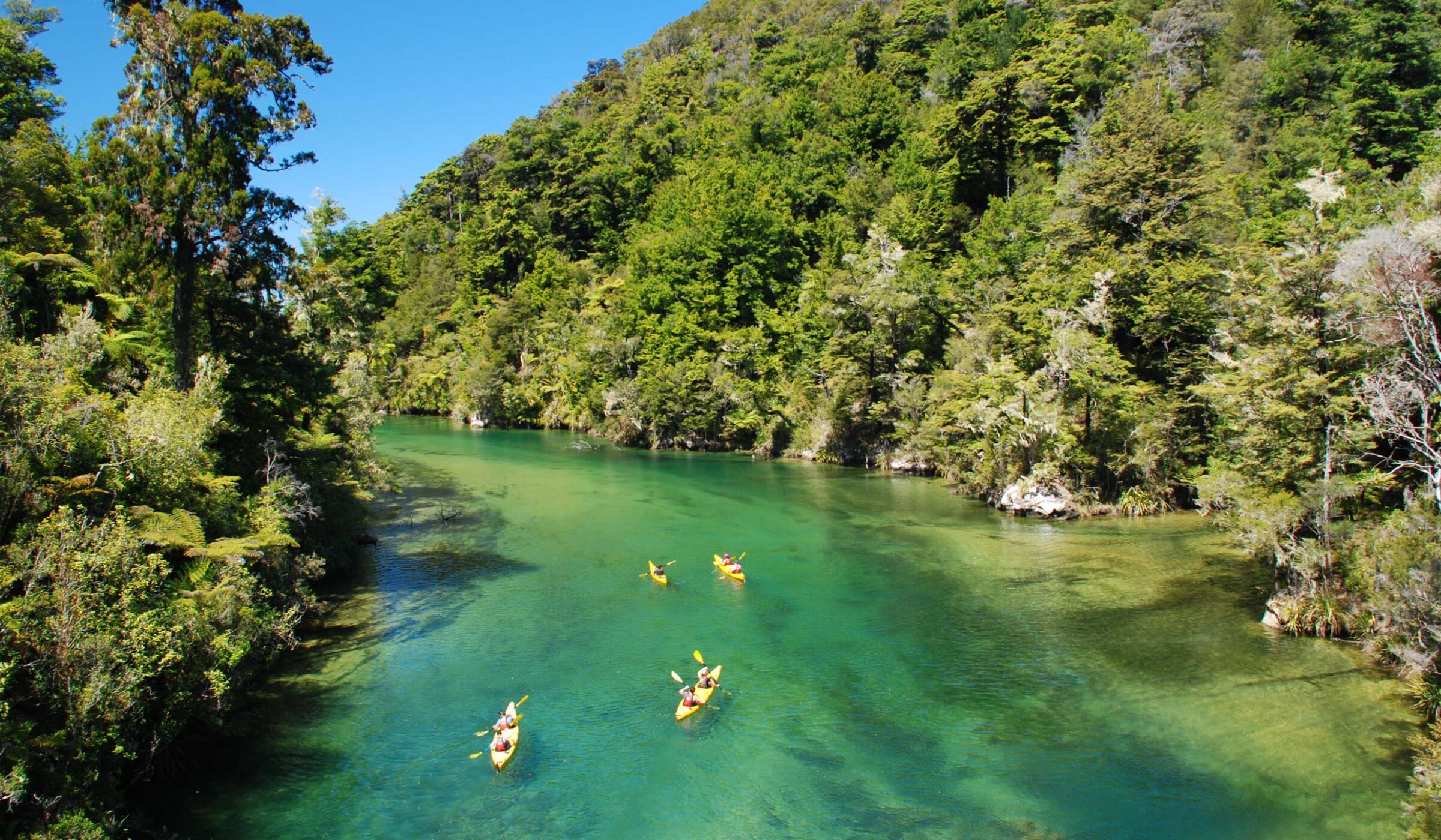 falls-river-abel-tasman-new-zealand