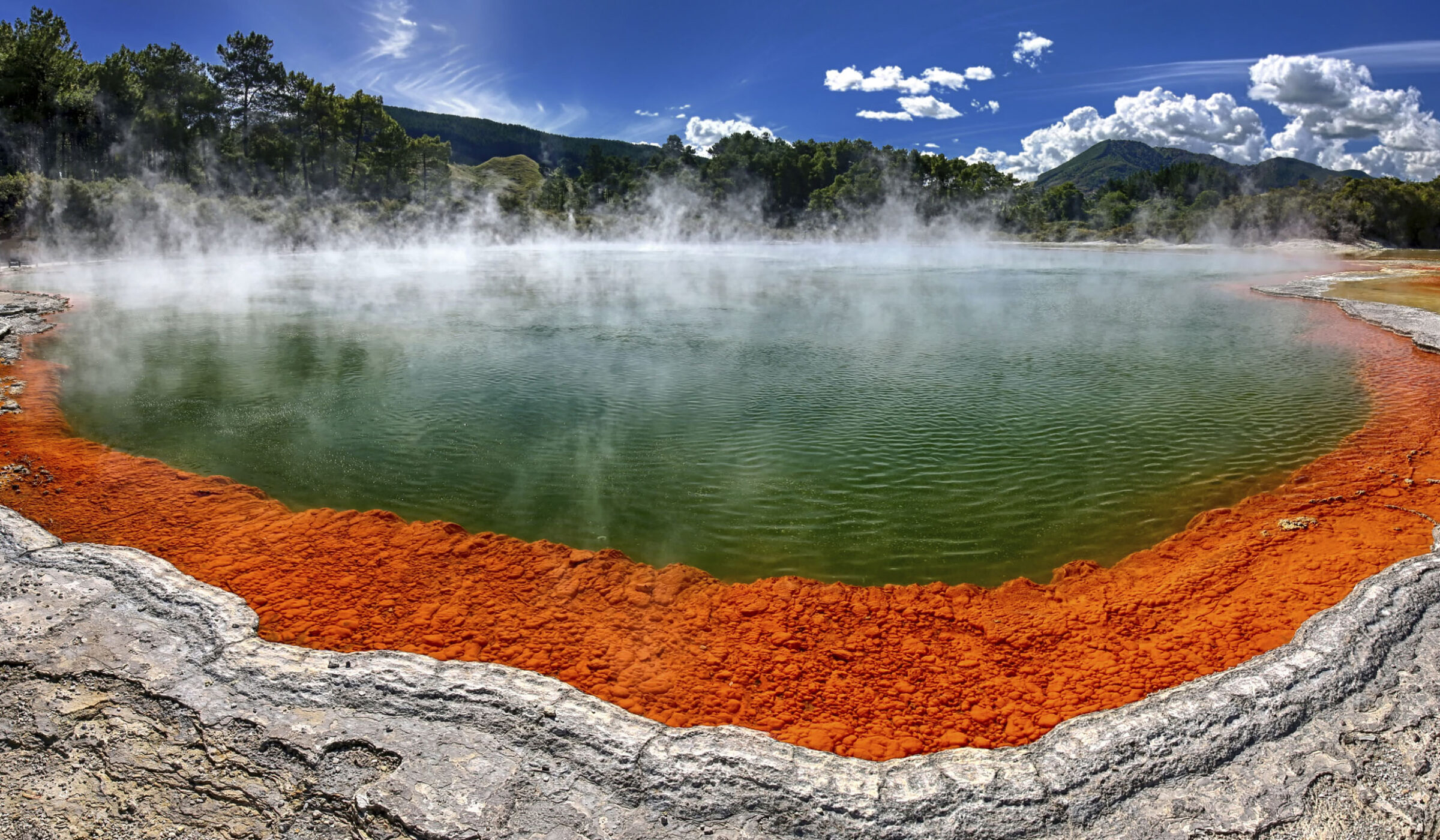 Rotorua and Taupō